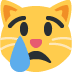 :crying_cat: :crying_cat: