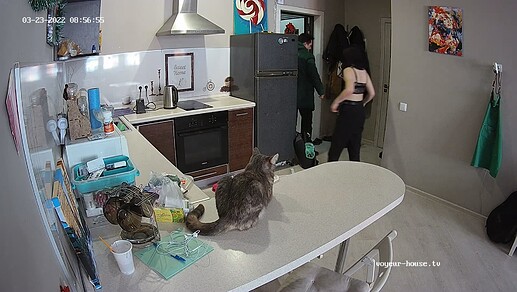 realm67-cam12-1648015306