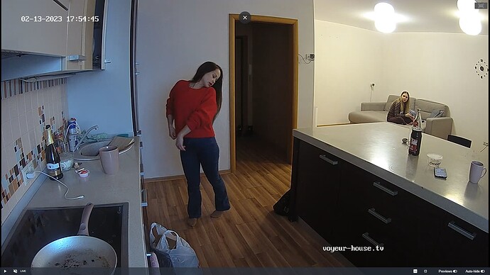 Ashampoo_Snap_lundi 13 février 2023_12h55m12s_003_Clara & Stas apartment with reallifecam cameras at Voyeur House TV - Google Chrome