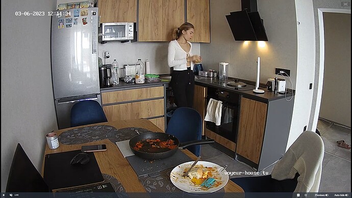 Ashampoo_Snap_lundi 6 mars 2023_10h12m19s_047_Living room camera at Rachel reallifecam apartment at Voyeur House TV (cam14) - Google Chrome