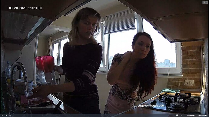 Ashampoo_Snap_lundi 20 mars 2023_12h24m47s_002_Barbara apartment with reallifecam cameras at Voyeur House TV - Google Chrome