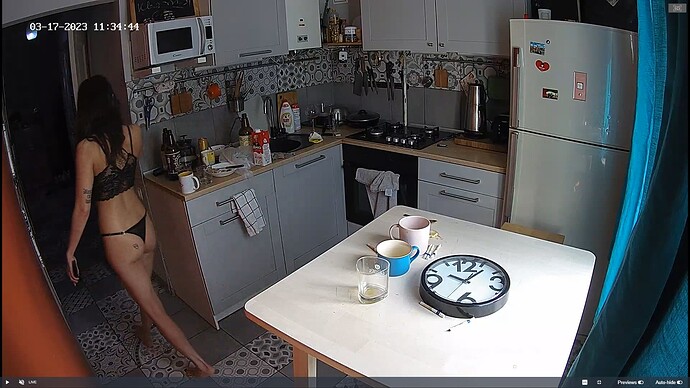 Ashampoo_Snap_vendredi 17 mars 2023_9h35m31s_015_Tonk apartment with reallifecam cameras at Voyeur House TV - Google Chrome