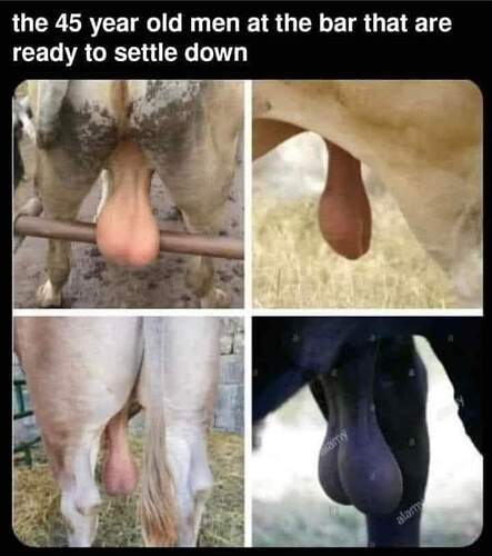 FB_IMG_1679185244316