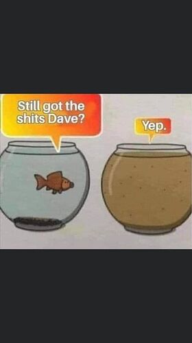 daves s__ts
