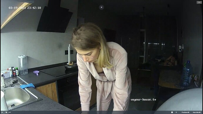 Ashampoo_Snap_dimanche 19 mars 2023_21h46m19s_046_Living room camera at Barbara reallifecam apartment at Voyeur House TV (cam14) - Google Chrome