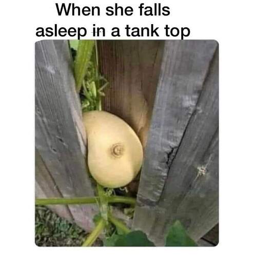 FB_IMG_1679413385600