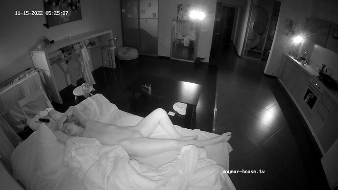 Shana still on couch bed 11-15-22