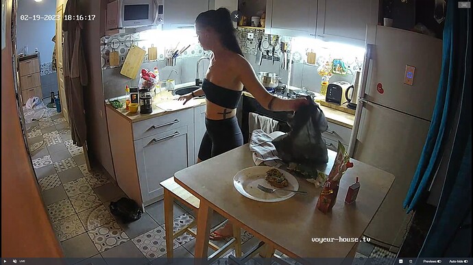 Ashampoo_Snap_dimanche 19 février 2023_16h17m1s_003_Nikki apartment with reallifecam cameras at Voyeur House TV - Google Chrome