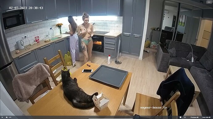 Ashampoo_Snap_mardi 7 février 2023_18h49m20s_035_Lisbet & Nolan apartment with reallifecam cameras at Voyeur House TV - Google Chrome