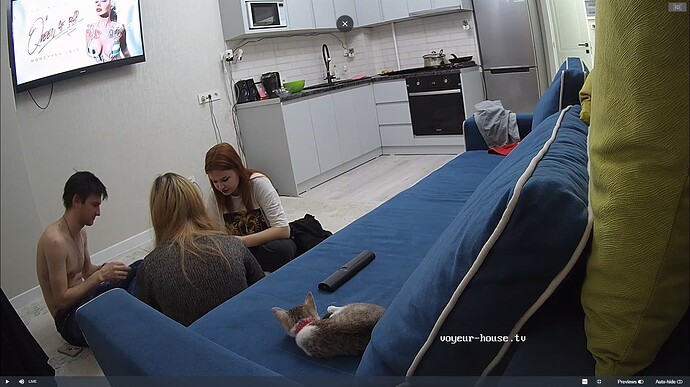 Ashampoo_Snap_lundi 6 février 2023_18h0m21s_020_Silver & Bradley apartment with reallifecam cameras at Voyeur House TV - Google Chrome