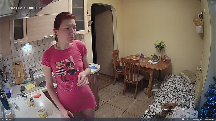 Ashampoo_Snap_dimanche 12 février 2023_23h36m46s_034_Kitchen camera at Tonk reallifecam apartment at Voyeur House TV (cam11) - Google Chrome