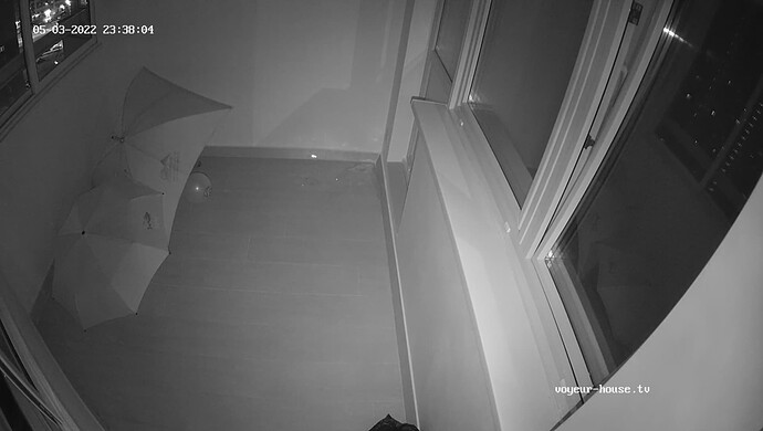 realm37-cam112-1651610295