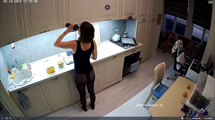 Ashampoo_Snap_mardi 14 février 2023_16h38m16s_059_Gella, Winston Wolfe apartment with reallifecam cameras at Voyeur House TV - Google Chrome