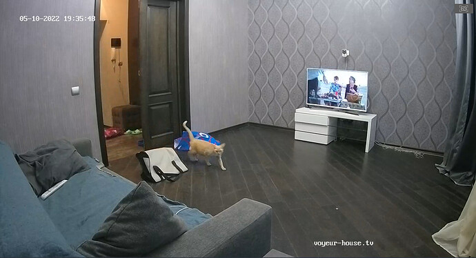 bandicam 2022-05-10 17-36-23-183