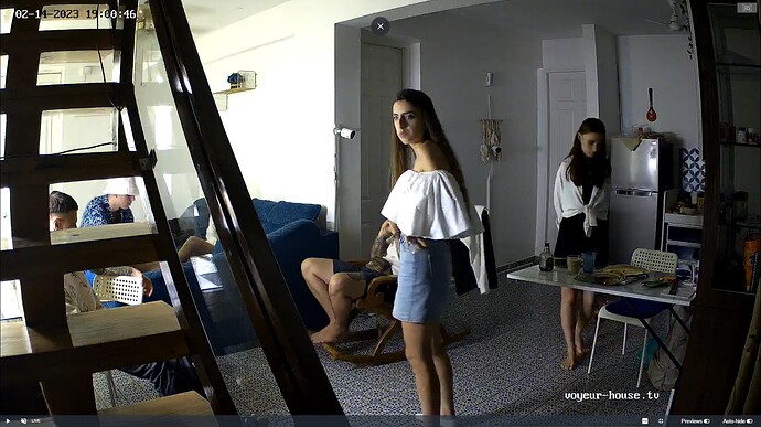 Ashampoo_Snap_mardi 14 février 2023_14h32m2s_032_Living room camera at Shana reallifecam apartment at Voyeur House TV (cam13) - Google Chrome