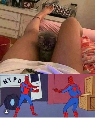 FnTSGwiXkAEPwHF