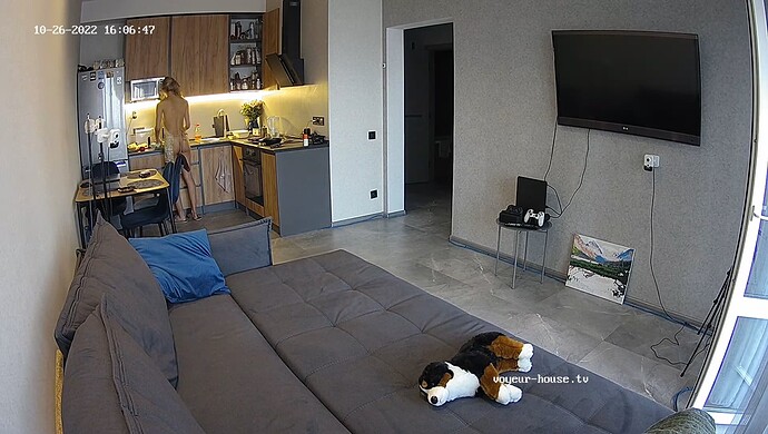 realm8-cam13-1666789642