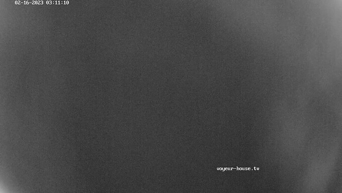 realm61-cam111-1676507912