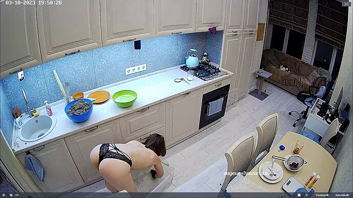Ashampoo_Snap_vendredi 10 mars 2023_18h54m17s_051_Ambar & Dane apartment with reallifecam cameras at Voyeur House TV - Google Chrome