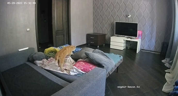bandicam 2022-05-28 14-14-19-085