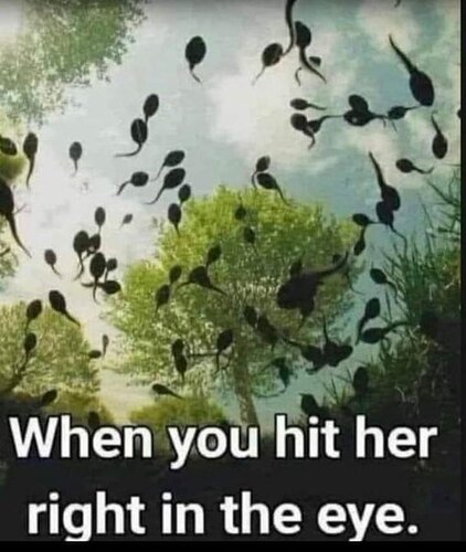 FmwGbqgXkAAPEo0