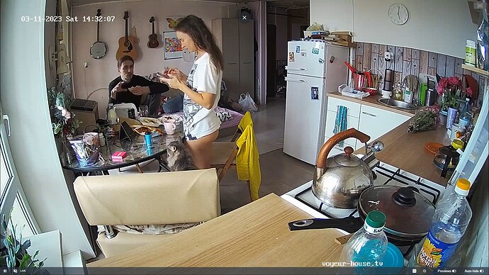 Ashampoo_Snap_samedi 11 mars 2023_12h32m39s_022_Viktor, Kye, Nena apartment with reallifecam cameras at Voyeur House TV - Google Chrome