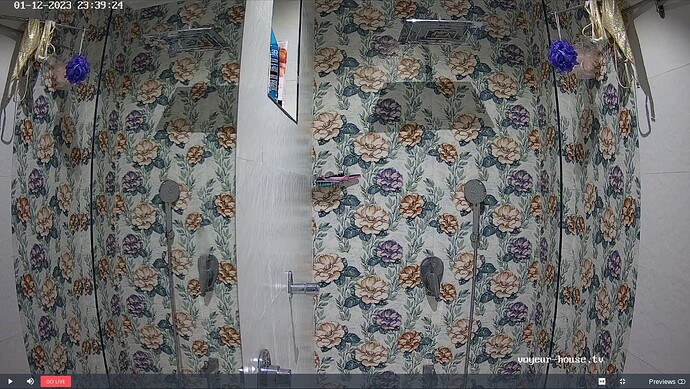 Shower4