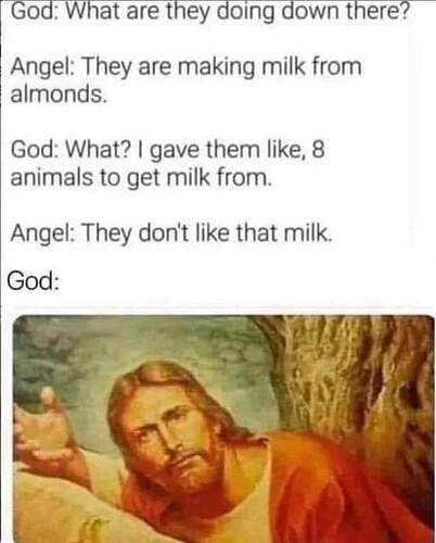 FB_IMG_1669347223581