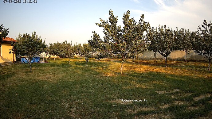 realm59-cam117-1658938358