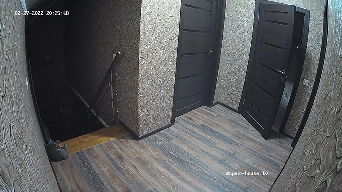 realm31-cam116-1645982741