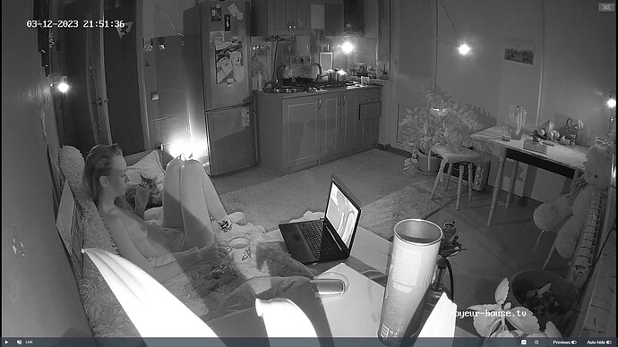 Ashampoo_Snap_dimanche 12 mars 2023_20h52m14s_011_Living room camera at Jack & Rose reallifecam apartment at Voyeur House TV (cam12) - Google Chrome