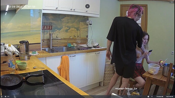 Ashampoo_Snap_mardi 14 mars 2023_13h8m36s_022_Jack & Rose apartment with reallifecam cameras at Voyeur House TV - Google Chrome