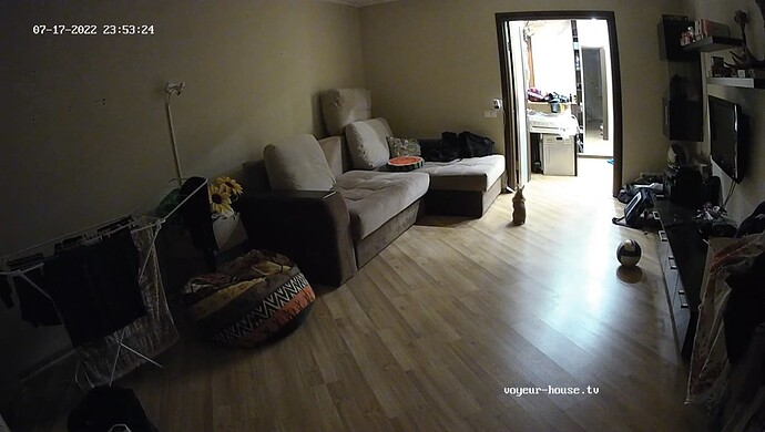 realm37-cam15-1658091239