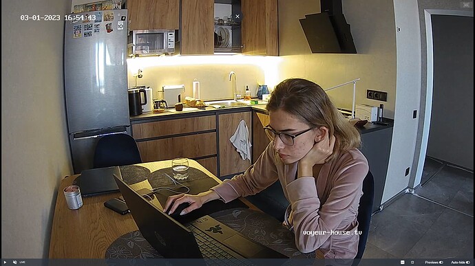 Ashampoo_Snap_mercredi 1 mars 2023_14h55m18s_003_Gella, Winston Wolfe apartment with reallifecam cameras at Voyeur House TV - Google Chrome