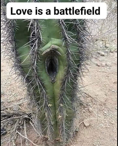 bandicam 2023-03-20 18-13-32-312