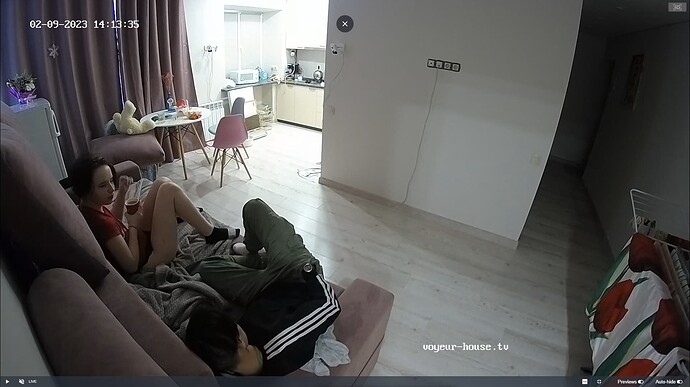 Ashampoo_Snap_jeudi 9 février 2023_12h14m12s_006_Rickon & Maisy apartment with reallifecam cameras at Voyeur House TV - Google Chrome