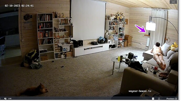 Screenshot_2023_02_13-42