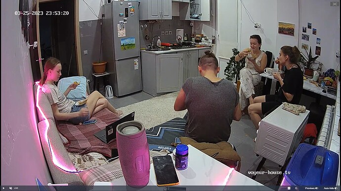 Ashampoo_Snap_samedi 25 mars 2023_22h55m23s_029_Kitchen camera at Lillian reallifecam apartment at Voyeur House TV (cam11) - Google Chrome