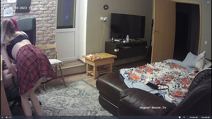 Ashampoo_Snap_vendredi 10 février 2023_17h33m57s_005_Living room camera at Hut TV reallifecam apartment at Voyeur House TV (cam14) - Google Chrome