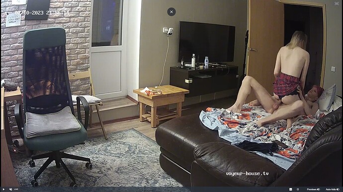 Ashampoo_Snap_vendredi 10 février 2023_19h59m43s_037_Living room camera at Hut TV reallifecam apartment at Voyeur House TV (cam14) - Google Chrome