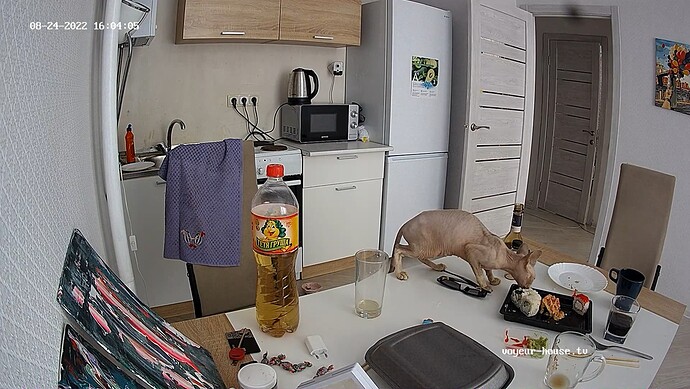 realm53-cam12-1661370158