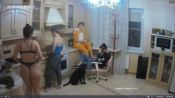 Ashampoo_Snap_jeudi 9 mars 2023_22h26m12s_072_Gella, Winston Wolfe apartment with reallifecam cameras at Voyeur House TV - Google Chrome