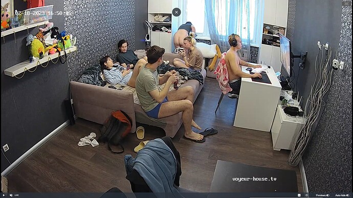 Ashampoo_Snap_samedi 18 février 2023_14h51m24s_004_Living room camera at Party House reallifecam apartment at Voyeur House TV (cam14) - Google Chrome