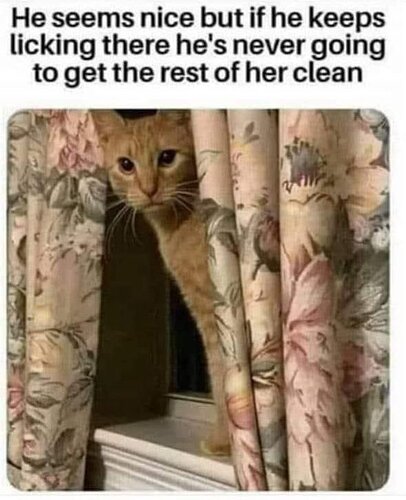FpjKgveWYAAOGzi