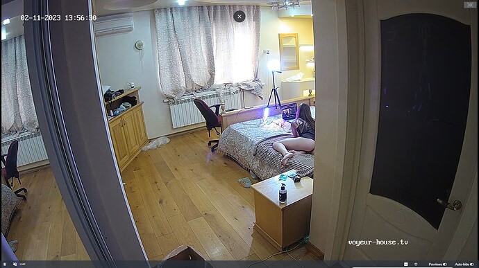 Ashampoo_Snap_samedi 11 février 2023_11h58m41s_004_Wendy apartment with reallifecam cameras at Voyeur House TV - Google Chrome