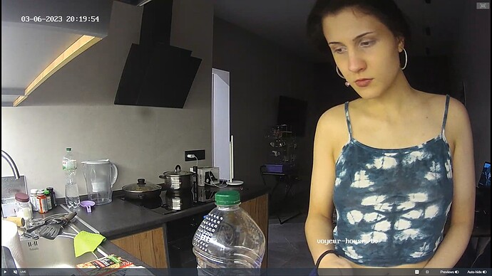 Ashampoo_Snap_lundi 6 mars 2023_18h22m4s_073_Living room camera at Rachel reallifecam apartment at Voyeur House TV (cam14) - Google Chrome