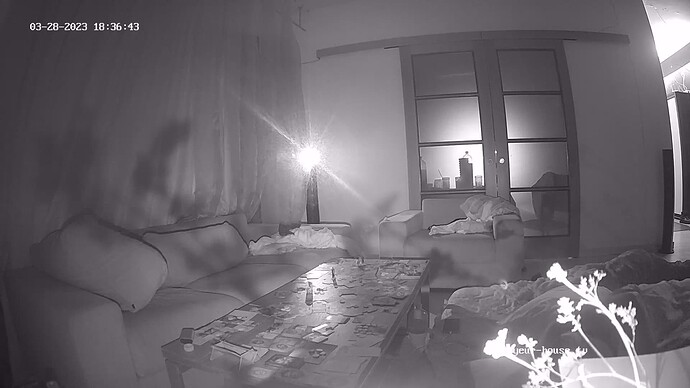 realm44-cam15-1680021437