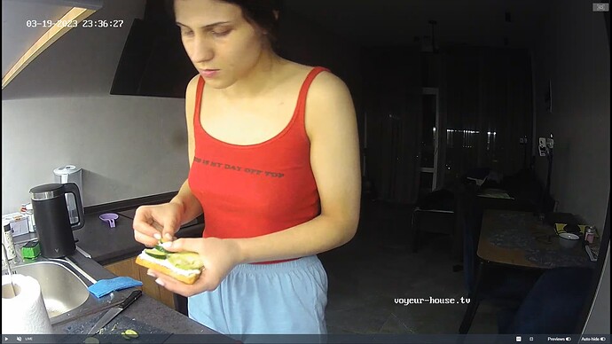Ashampoo_Snap_dimanche 19 mars 2023_21h38m29s_041_Living room camera at Barbara reallifecam apartment at Voyeur House TV (cam14) - Google Chrome