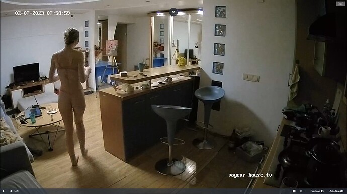 Ashampoo_Snap_mardi 7 février 2023_2h59m41s_011_Kitchen camera at Flora reallifecam apartment at Voyeur House TV (cam12) - Google Chrome