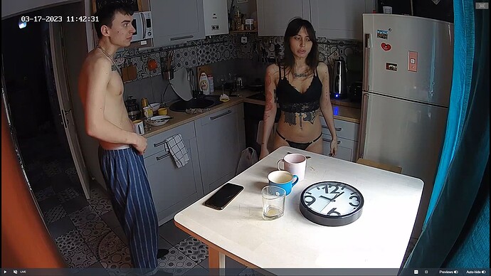 Ashampoo_Snap_vendredi 17 mars 2023_9h43m39s_025_Kitchen camera at Faye reallifecam apartment at Voyeur House TV (cam12) - Google Chrome